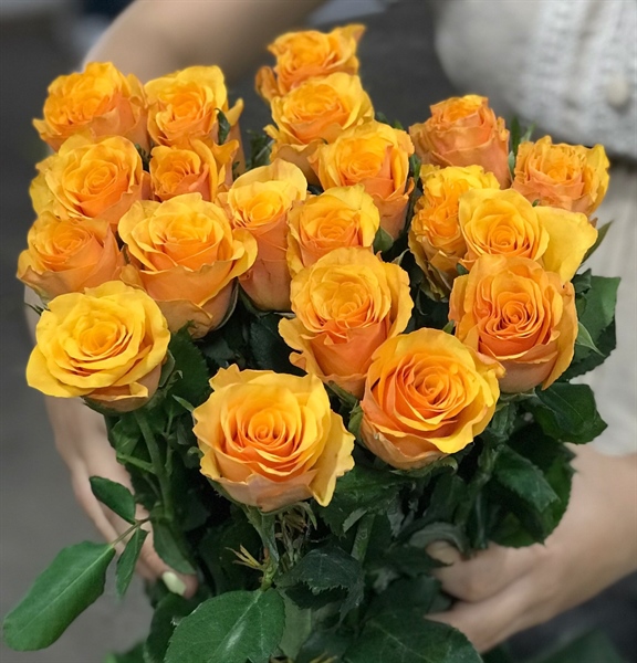 Hồng Cam Cát Vàng Côn Minh