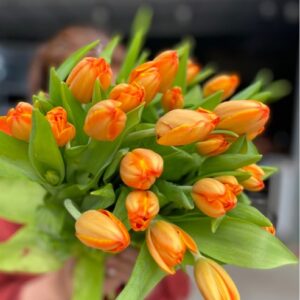 Tulip Milkshake