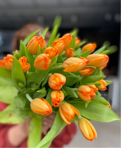 Tulip Milkshake